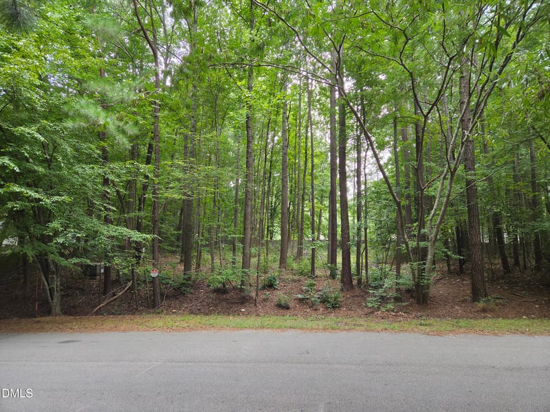 5009 Holly Brook Dr Lot 47a, Apex, NC 27539