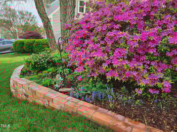 501 Samara St, Apex, NC 27502