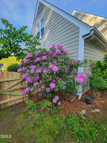 501 Samara St, Apex, NC 27502