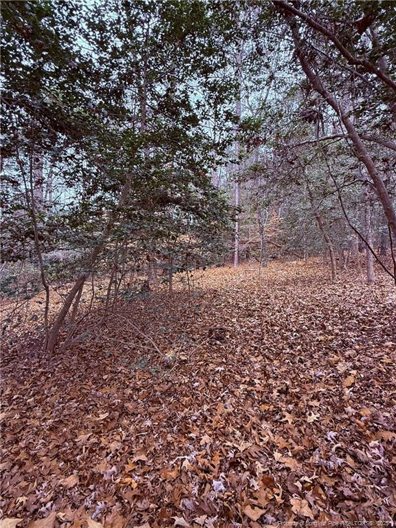 5018 Mockingbird Ln, Sanford, NC 27332