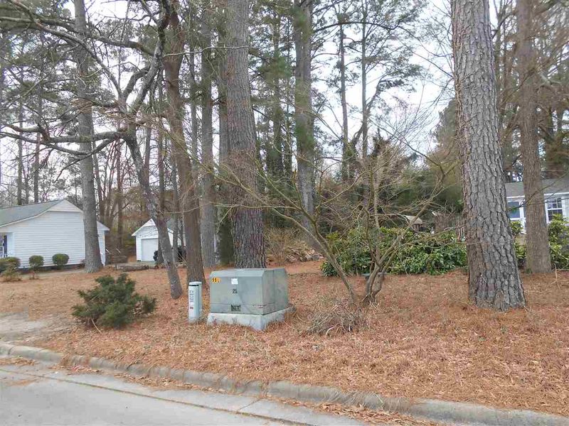 502 Bennett Dr Lot p, Selma, NC 27576