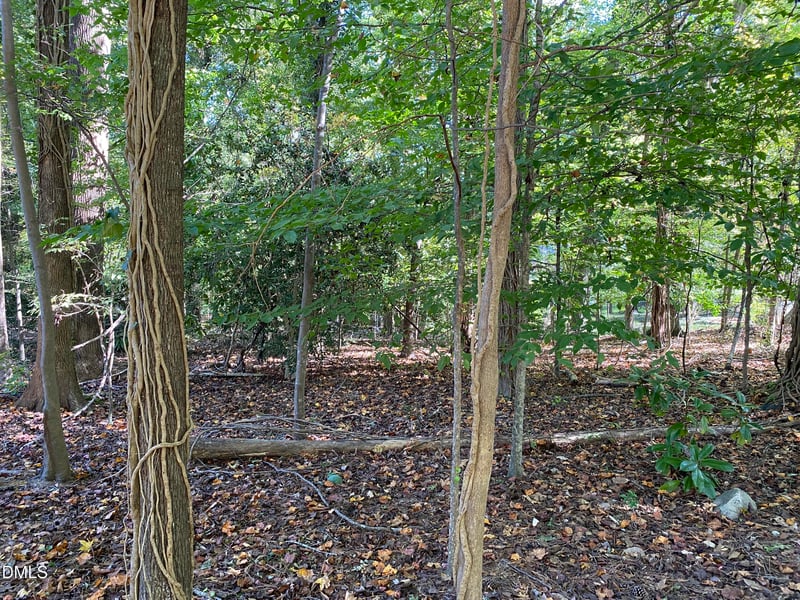 5026 Green Oak Dr Lot 7, Durham, NC 27712