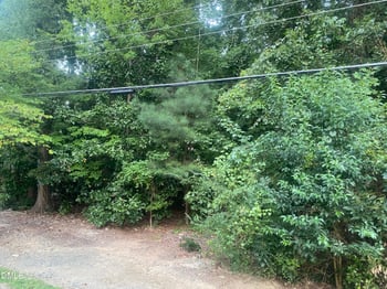 5026 Green Oak Dr Lot 7, Durham, NC 27712