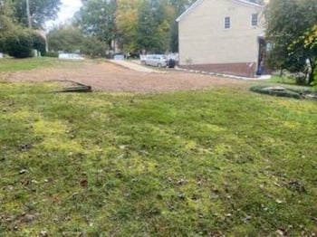504 Dandelion Ct Lot 109, Raleigh, NC 27610
