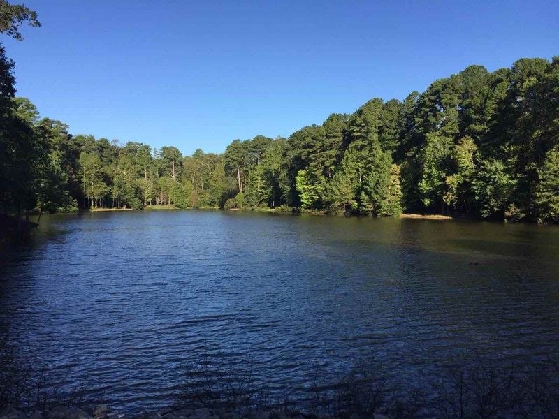 504 Pendleton Lake Rd, Raleigh, NC 27614