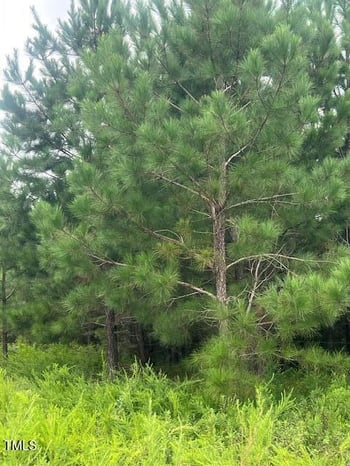 505 Chesley Ln, Lillington, NC 27546