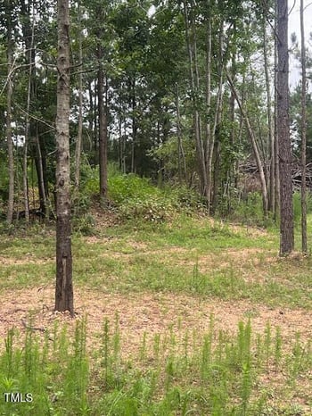 505 Chesley Ln, Lillington, NC 27546
