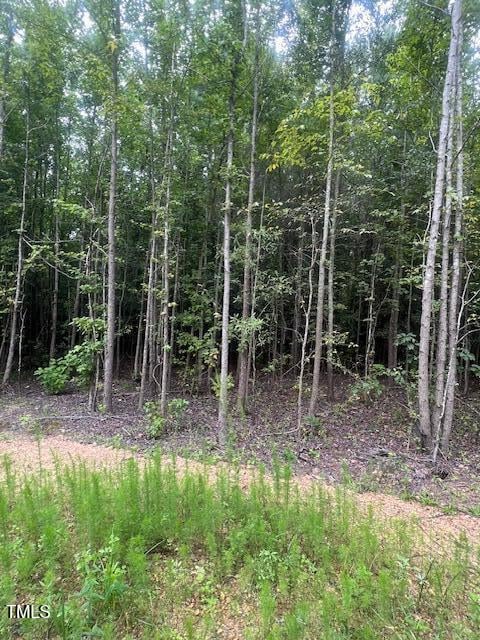 505 Chesley Ln, Lillington, NC 27546