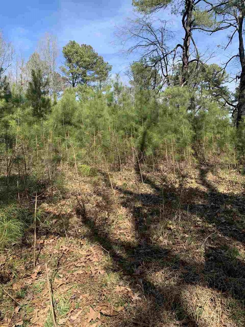 505 Erwin Rd Lot 5A, Durham, NC 27707