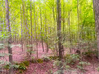 505 Joseph Rd, Hillsborough, NC 27278