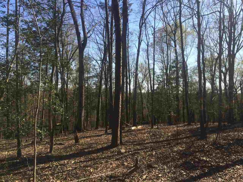 505 Ridge View Rd Lot 7, Pittsboro, NC 27312