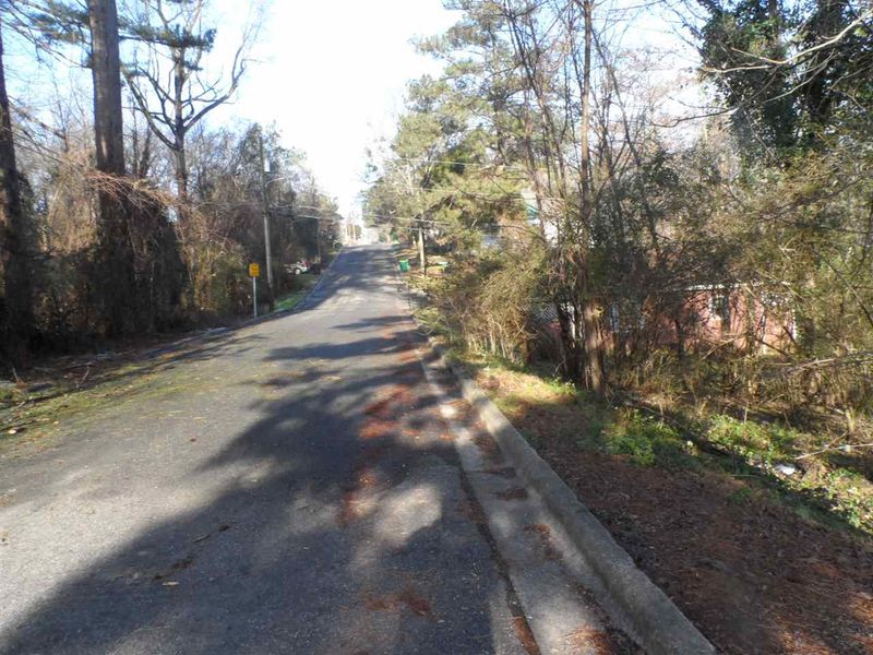 508 E Hinton St Lot 39, Clayton, NC 27520