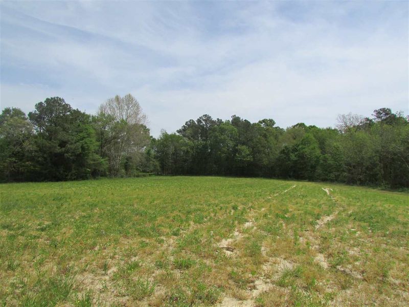 51.8 Acres Roberts Rd Lot 51.8, Wendell, NC 27591