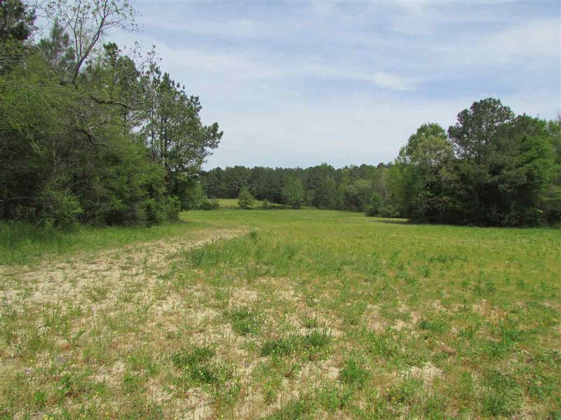 51.8 Acres Roberts Rd Lot 51.8, Wendell, NC 27591