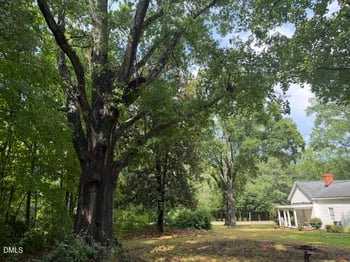 510 Walnut St Lot N/A, Cary, NC 27511