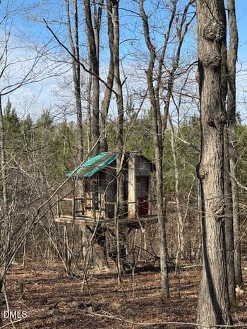 510 Whatt Way, Moncure, NC 27559