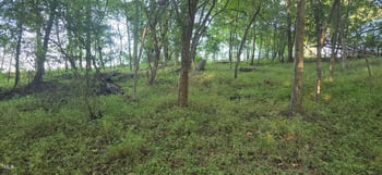 5101 Royal Acres Rd Lot 24, Raleigh, NC 27610
