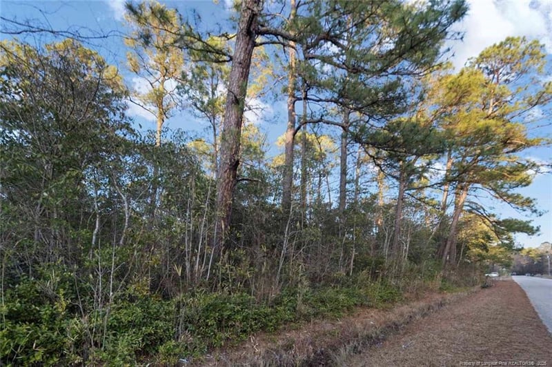 511 Sanders St, Hope Mills, NC 28348