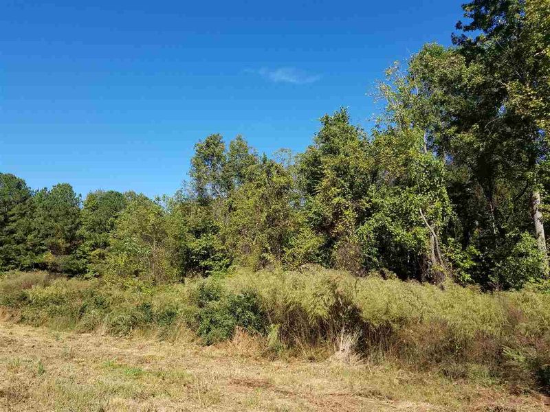 5126 Old Powell Rd Lot 4, Holly Springs, NC 27540