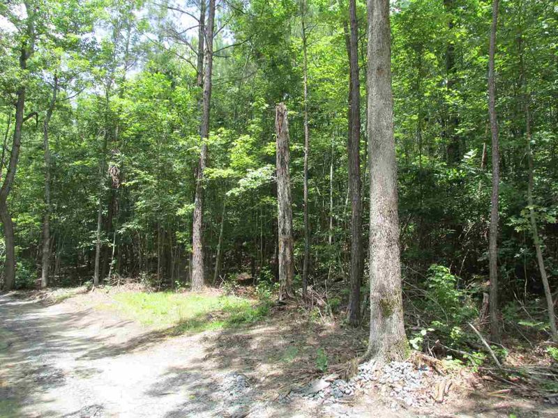 5133 D St Lot 2, Apex, NC 27539