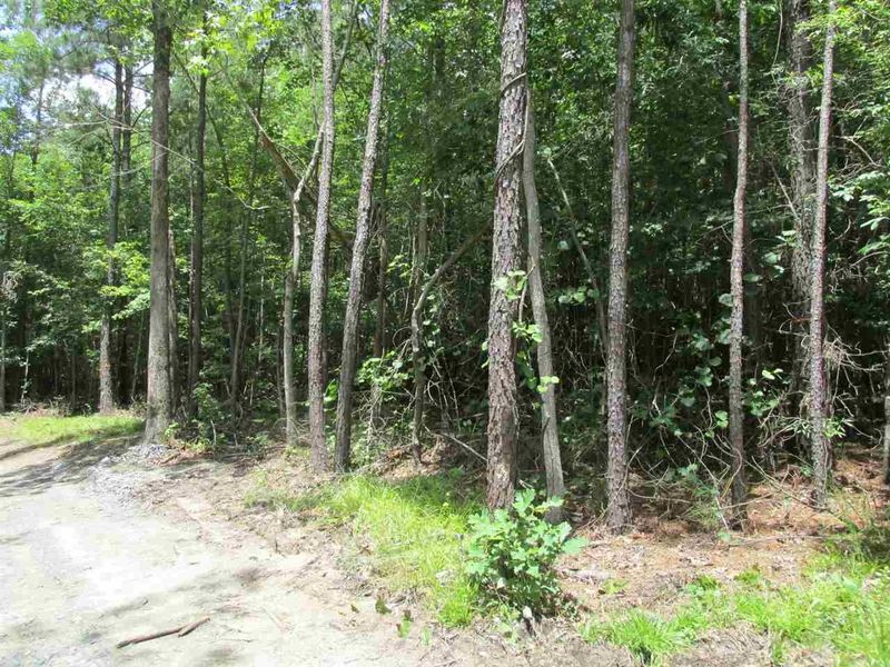 5133 D St Lot 2, Apex, NC 27539