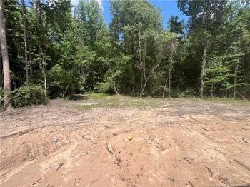 517 Grand Griffon Way, Lillington, NC 27546