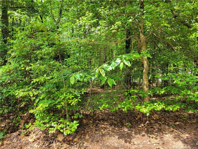 519 Perth Dr, Sanford, NC 27332