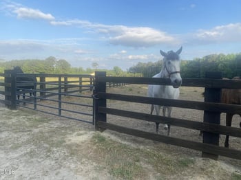 52 Fellowship Church Rd, Princeton, NC 27569