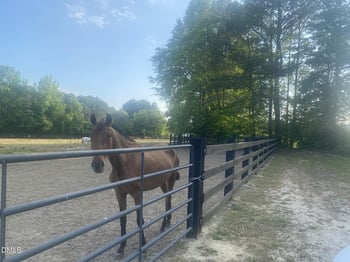 52 Fellowship Church Rd, Princeton, NC 27569