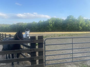 52 Fellowship Church Rd, Princeton, NC 27569