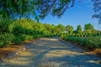 52 Pistoia Dr, Clayton, NC 27527