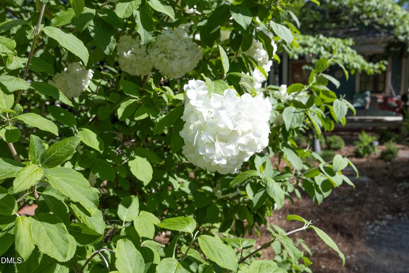 520 Franklin St, Chapel Hill, NC 27514