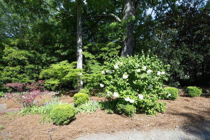 520 E Franklin St, Chapel Hill, NC 27514