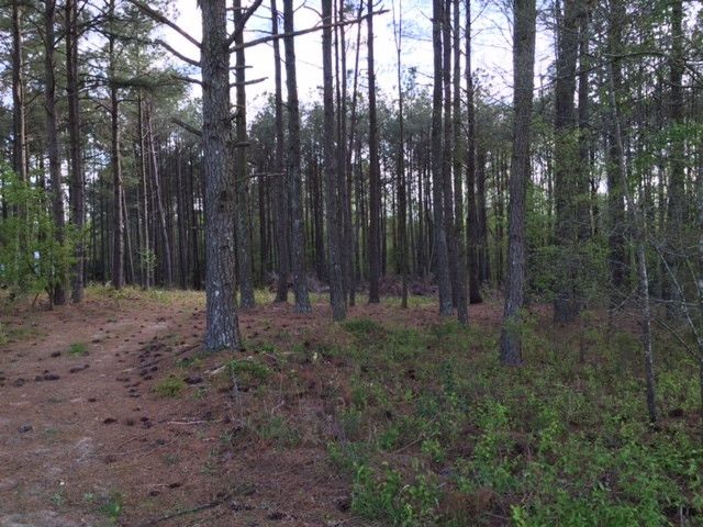 5209 Pulley Town Rd, Zebulon, NC 27597