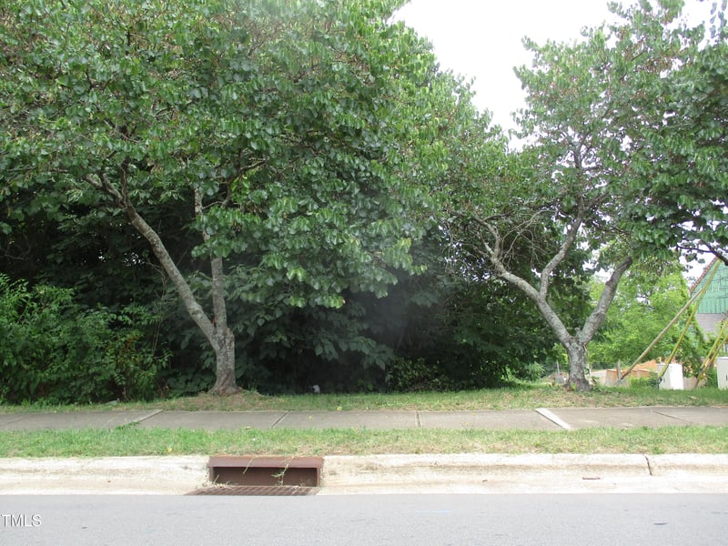 521 Bragg St Lot 1, Raleigh, NC 27610