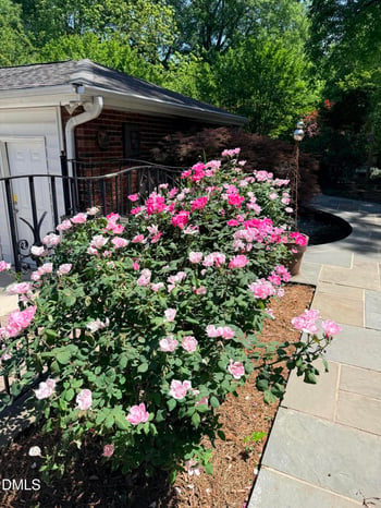 521 Main St, Wake Forest, NC 27587
