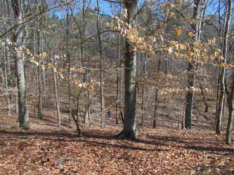 5217 Tanglewild Dr Lot 2, Raleigh, NC 27613