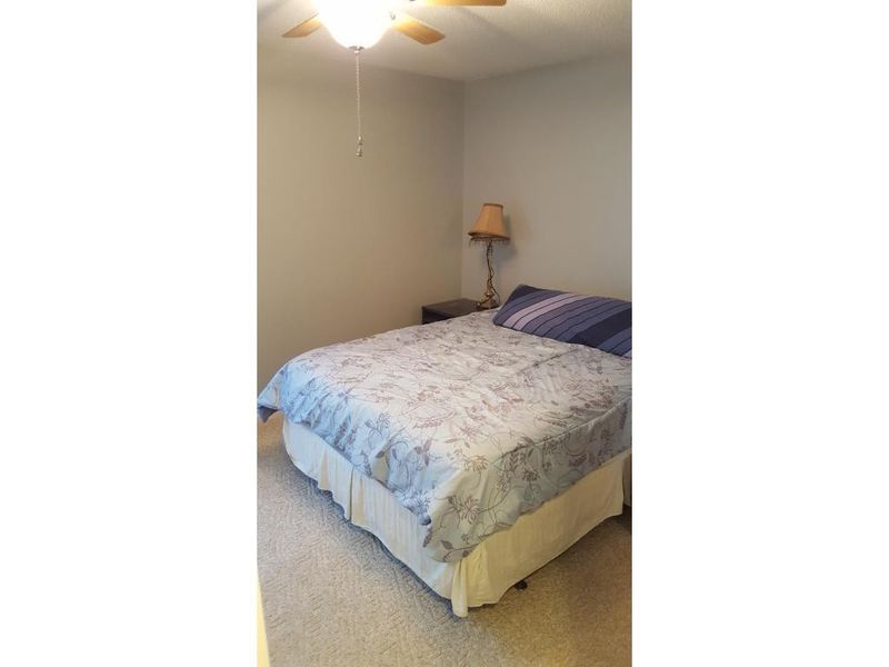 5223 Cox Ln, Liberty, NC 27298