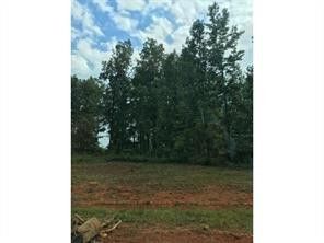 5228 Divine Ln, Mebane, NC 27302