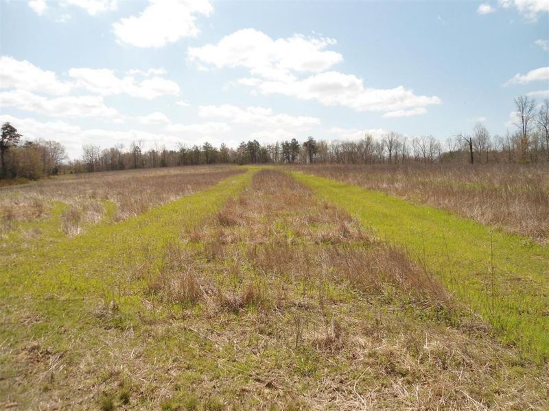 5231 Odell King Rd, Burlington, NC 27217