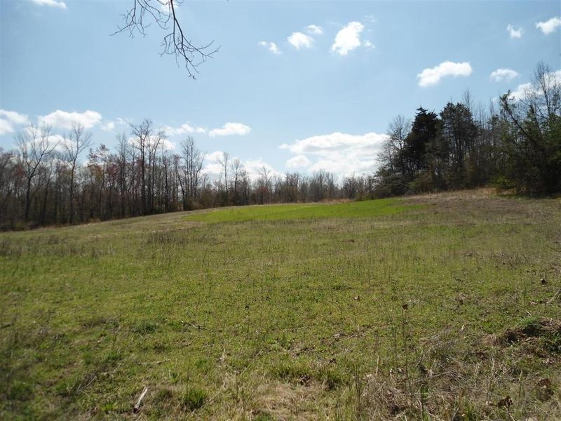 5231 Odell King Rd, Burlington, NC 27217