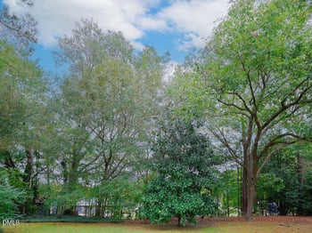 524 Marshburn Rd, Wendell, NC 27591