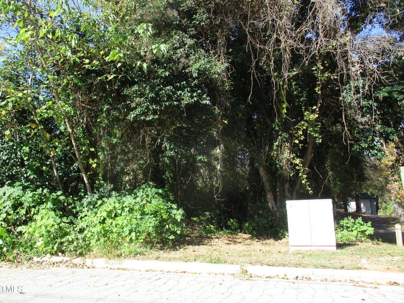 525 Bragg St Lot 2, Raleigh, NC 27610