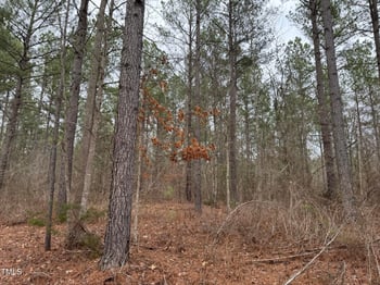 525 Breedlove Rd, Louisburg, NC 27549