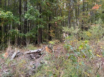 525 Montgomery Rd Lot 7, Franklinton, NC 27525