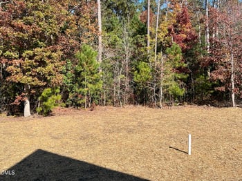 529 Hillard Ln, Wendell, NC 27591