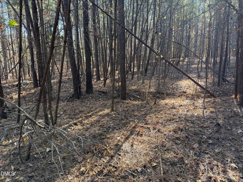 530 Crievewood Dr, Durham, NC 27712