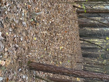 530 Crievewood Dr, Durham, NC 27712