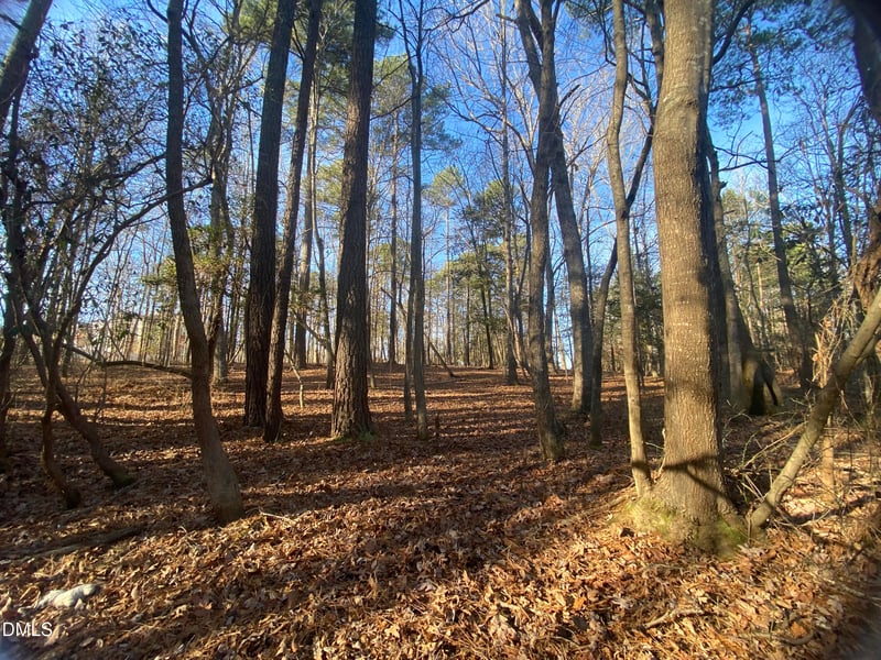 5301 Shadow Valley Rd, Holly Springs, NC 27540