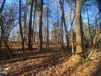 5301 Shadow Valley Rd, Holly Springs, NC 27540